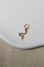 Load image into Gallery viewer, Snake Charm