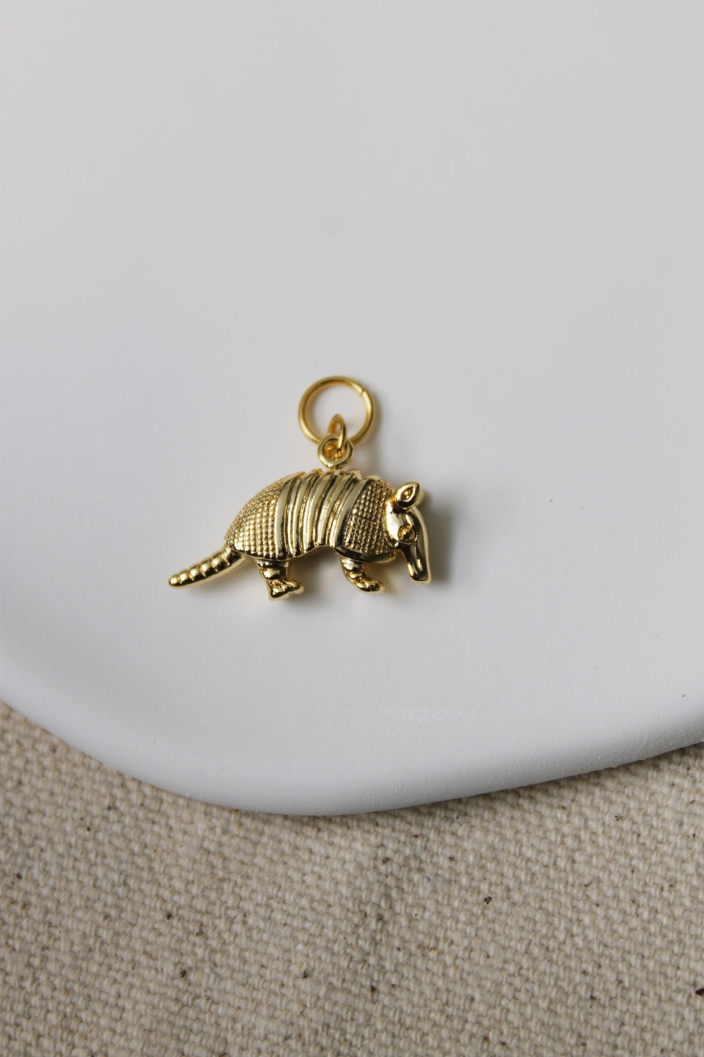 Armadillo Charm