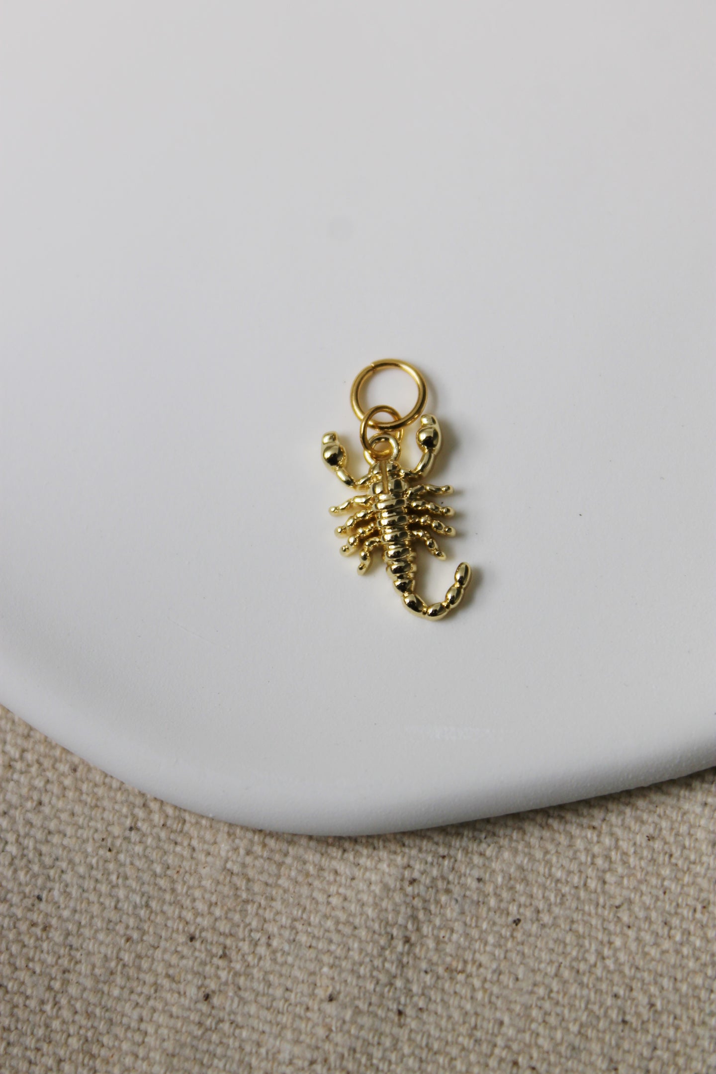 Scorpion Charm